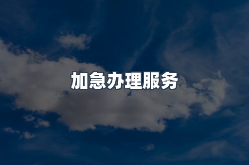 加急办理服务